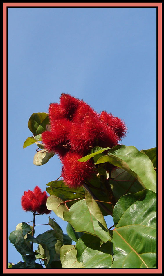 Rouge à lèvres