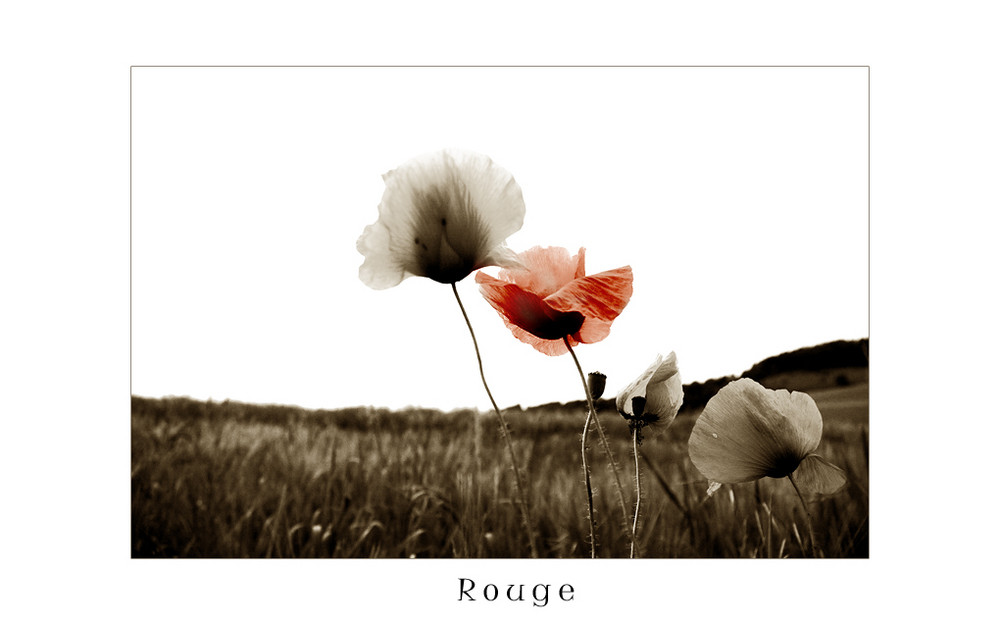 Rouge