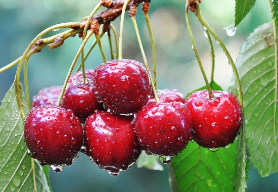 rouge cerise von Marconaute 