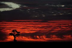 rouge ciel de coton