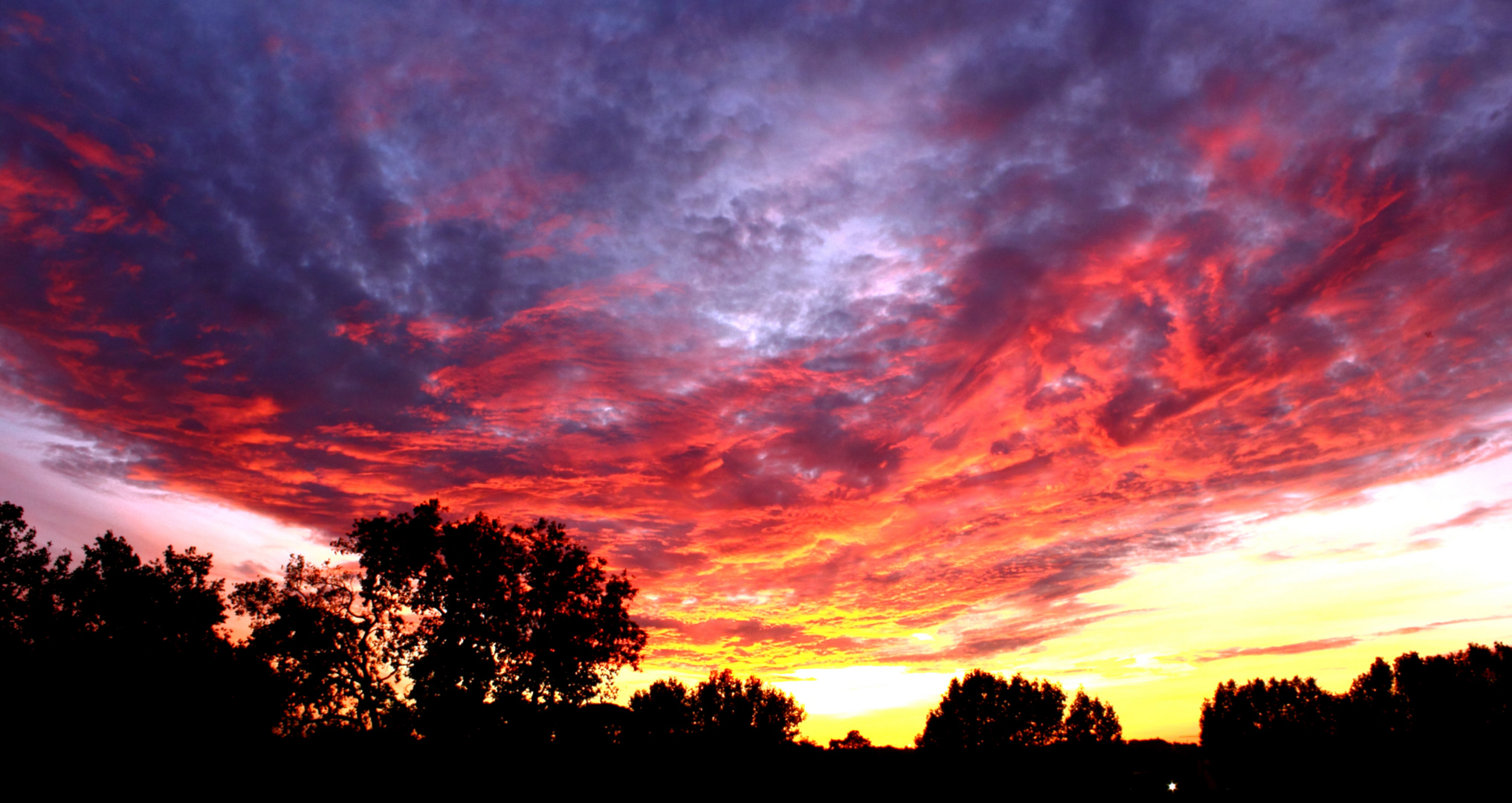 Rouge Ciel.