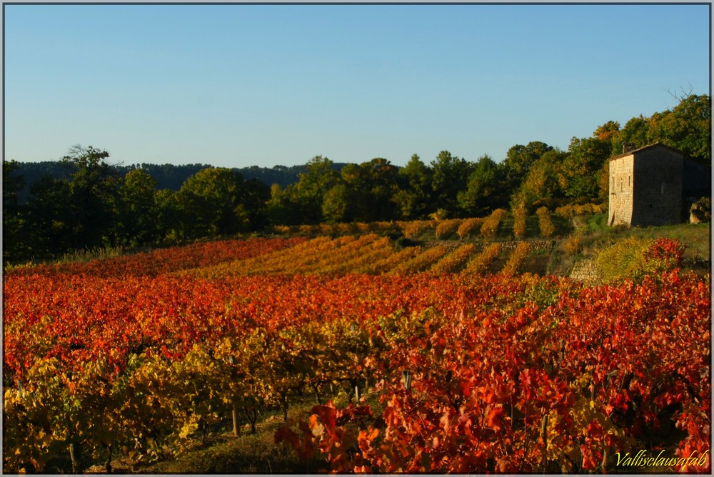 Rouge d'automne