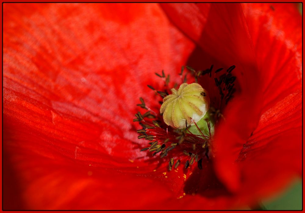 Rouge de confusion....