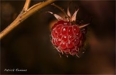 rouge framboise