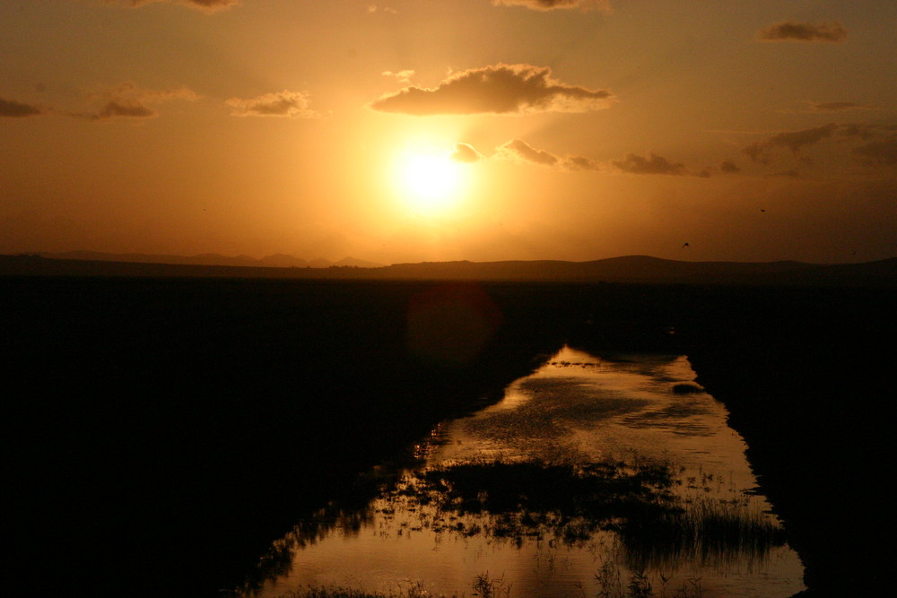 Rouge le soir...