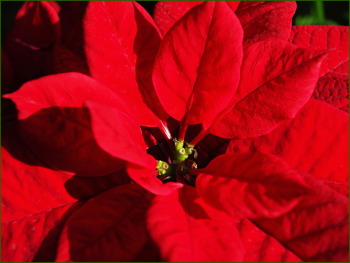 Rouge Noël - Weihnachten…rot