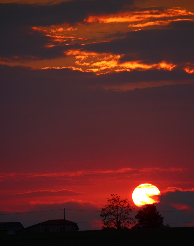 Rouge Passion ...