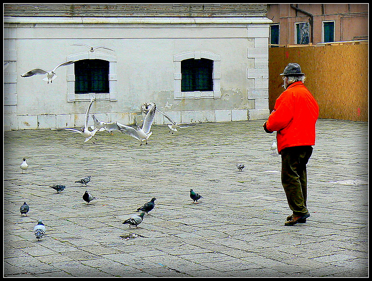 Rouge pour le pigeons et le lundi 