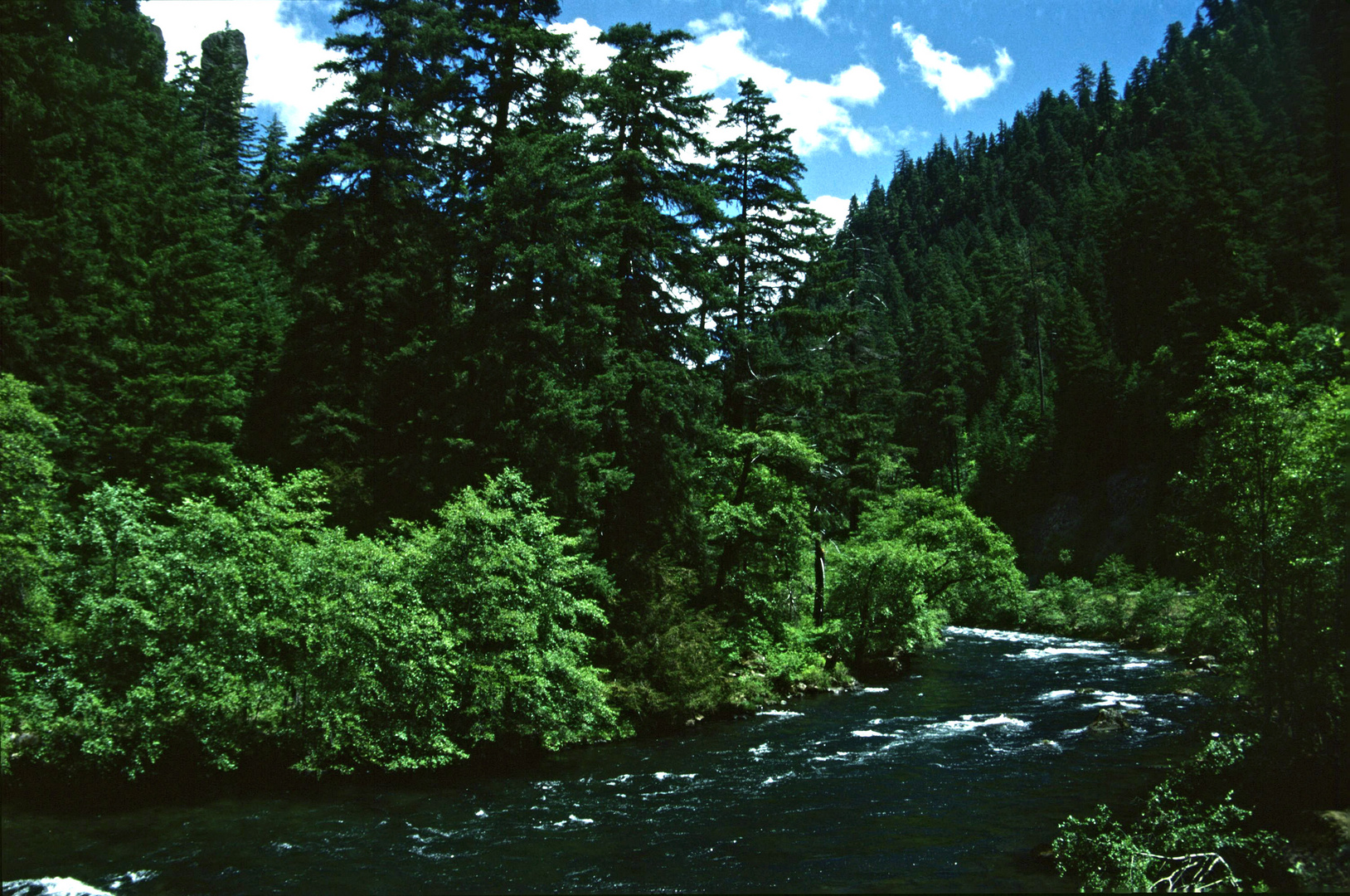 Rouge River, OR - 1996