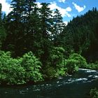 Rouge River, OR - 1996
