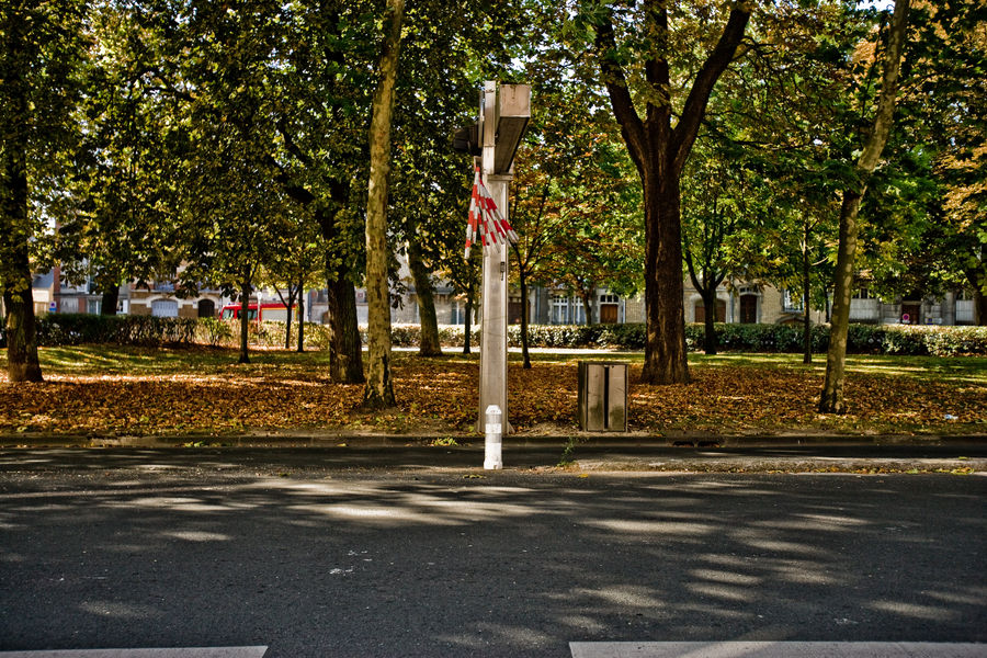 rouge sur vert