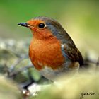 rouges gorges