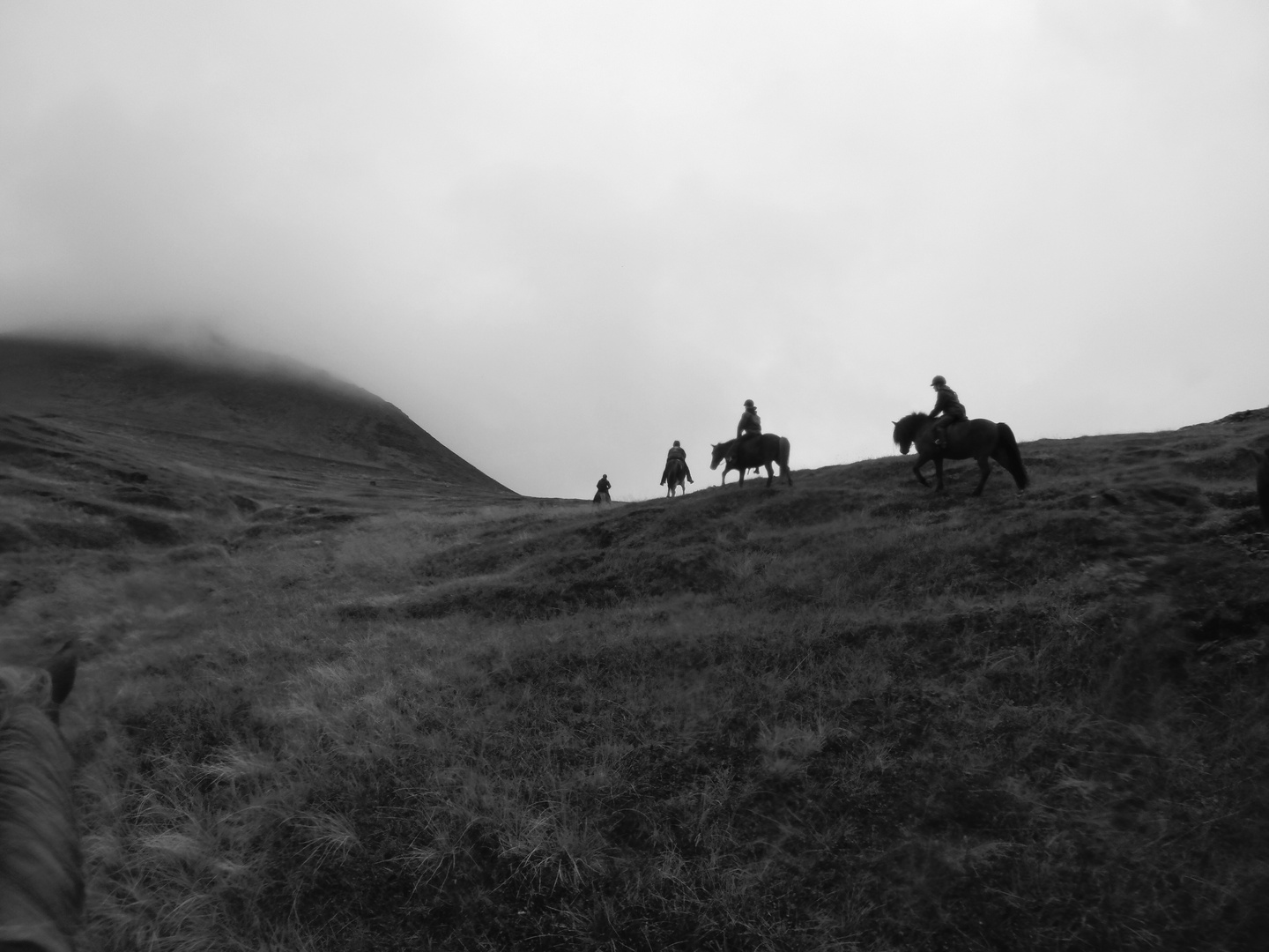 rough iceland - riding on icelandponies 