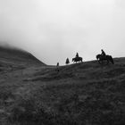 rough iceland - riding on icelandponies 