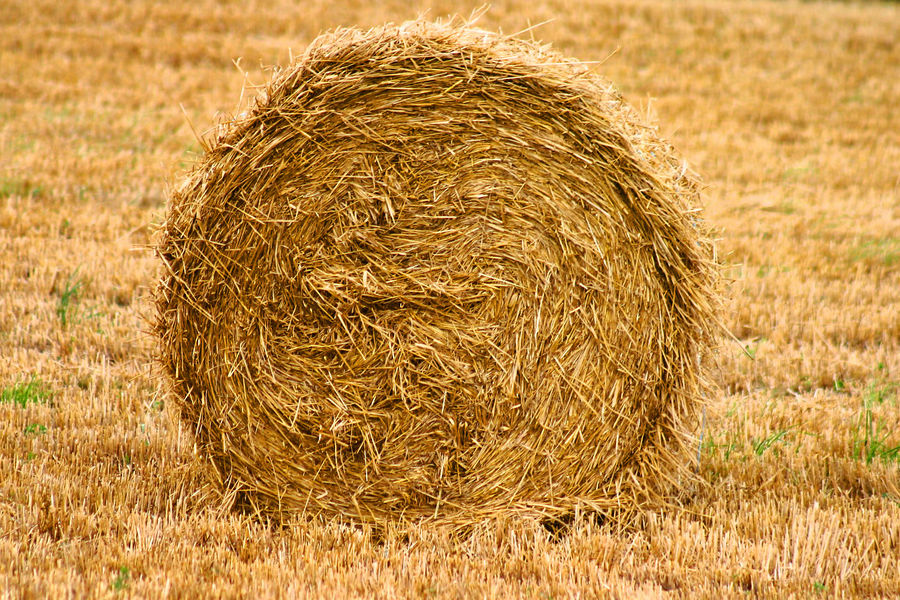 rouleau de foin  photo et image nature abstraite nature 