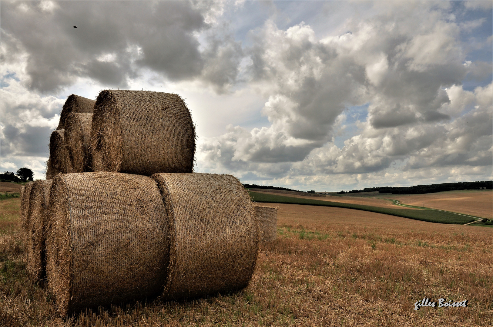 rouleaux compresseurs