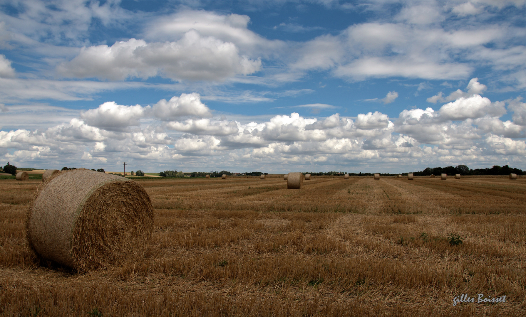 Rouleaux d'été sous le ciel du Vexin