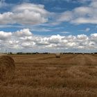 Rouleaux d'été sous le ciel du Vexin