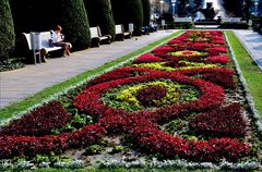 Roumanie - Timisoara - Place de la victoire - Allée fleurie.
