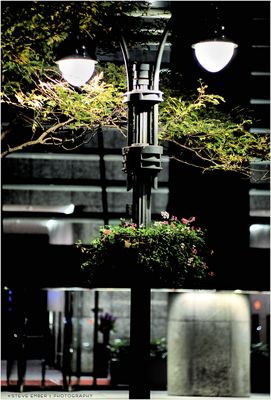 'Round Midnight, Autumn - A Murray Hill Nightscape