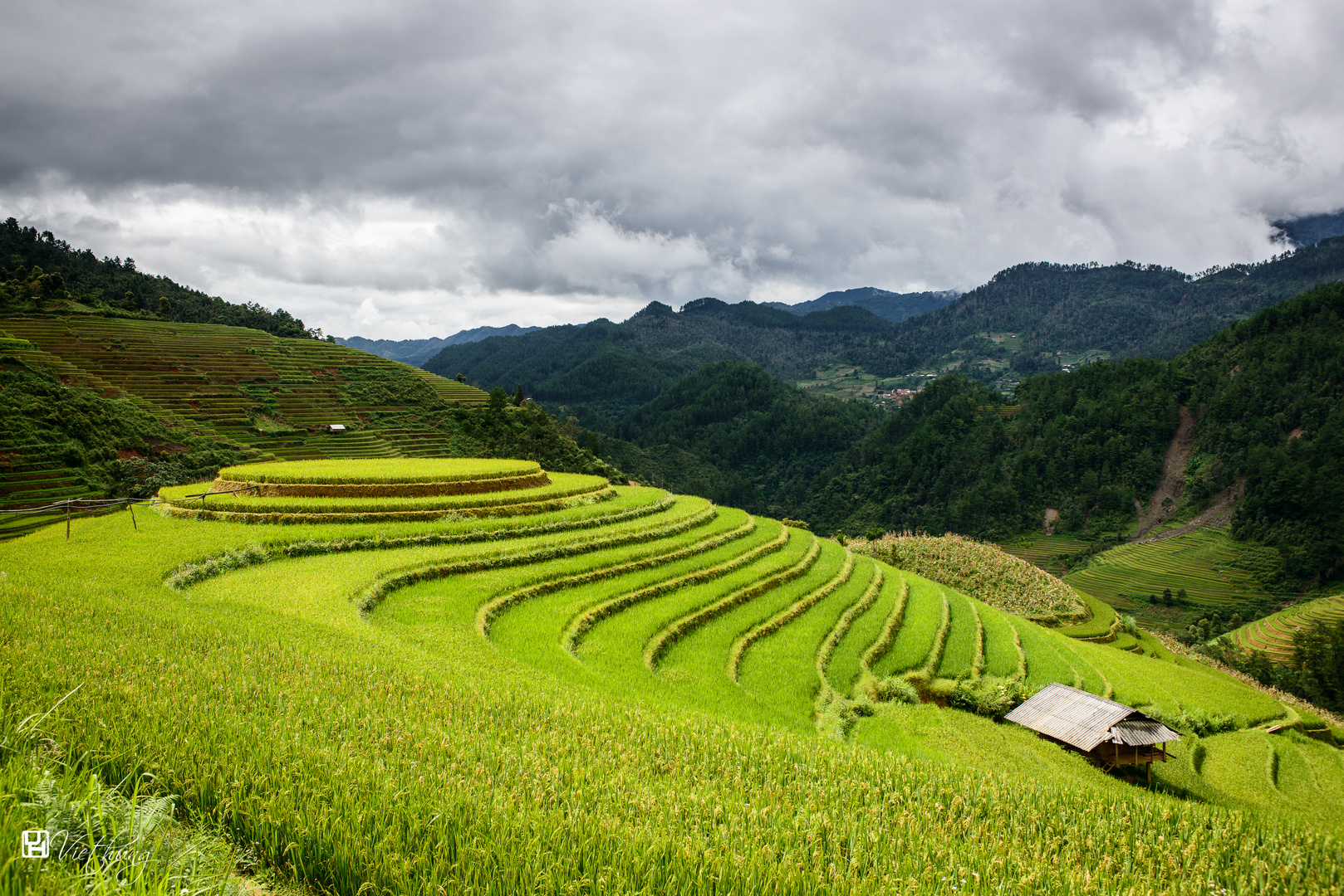 Rounded rice field