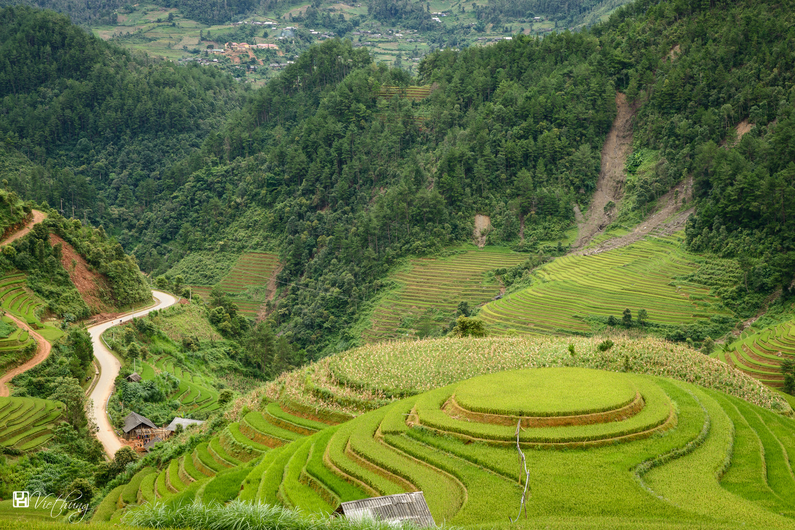 Rounded rice field