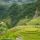 Rounded rice field