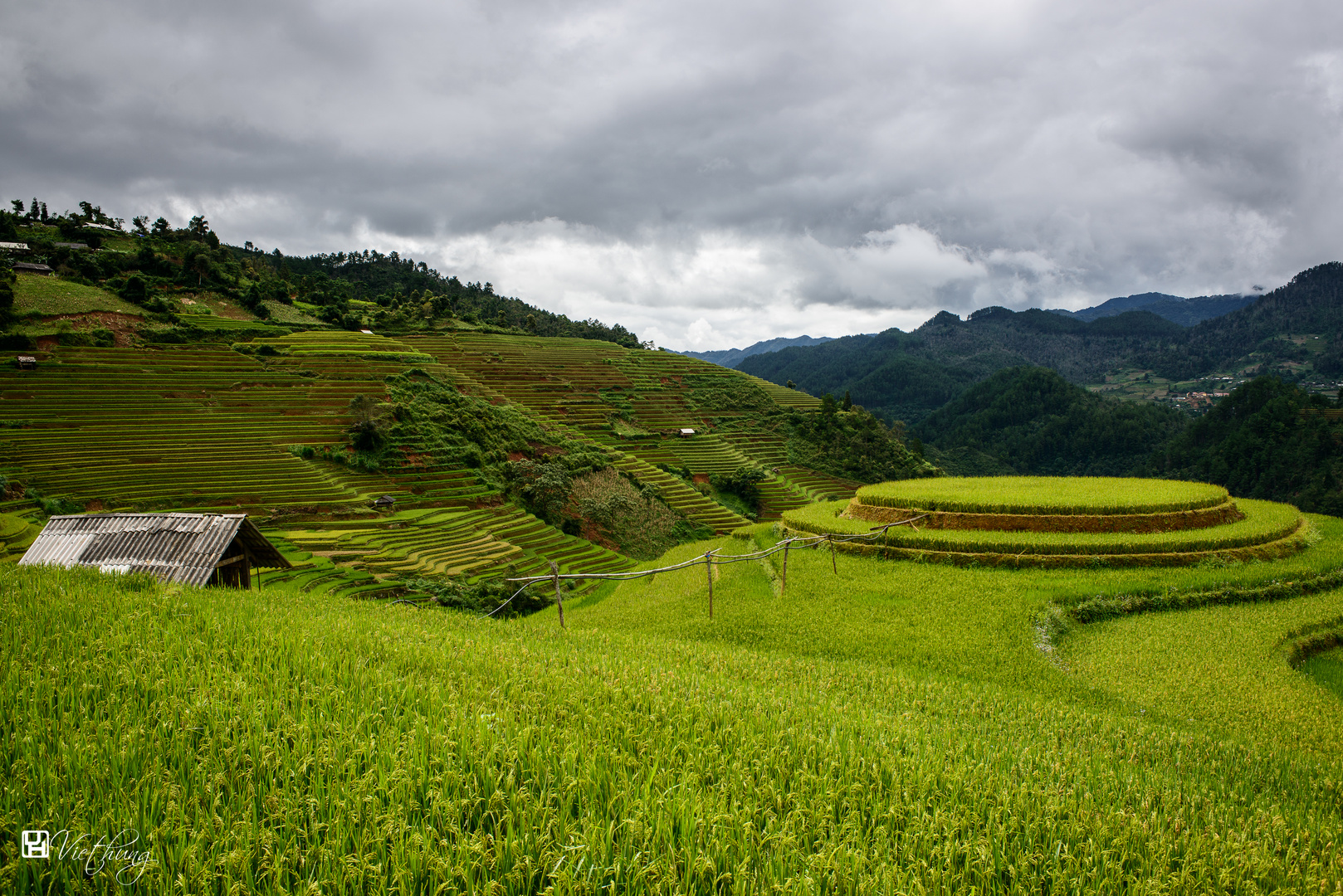 Rounded rice field