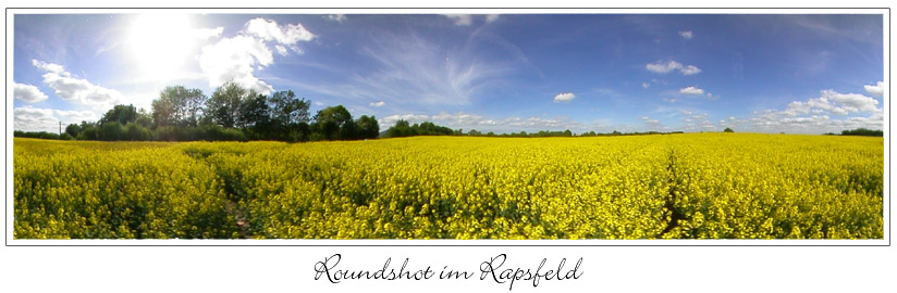 Roundshot im Rapsfeld