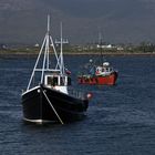 Roundstone Boote