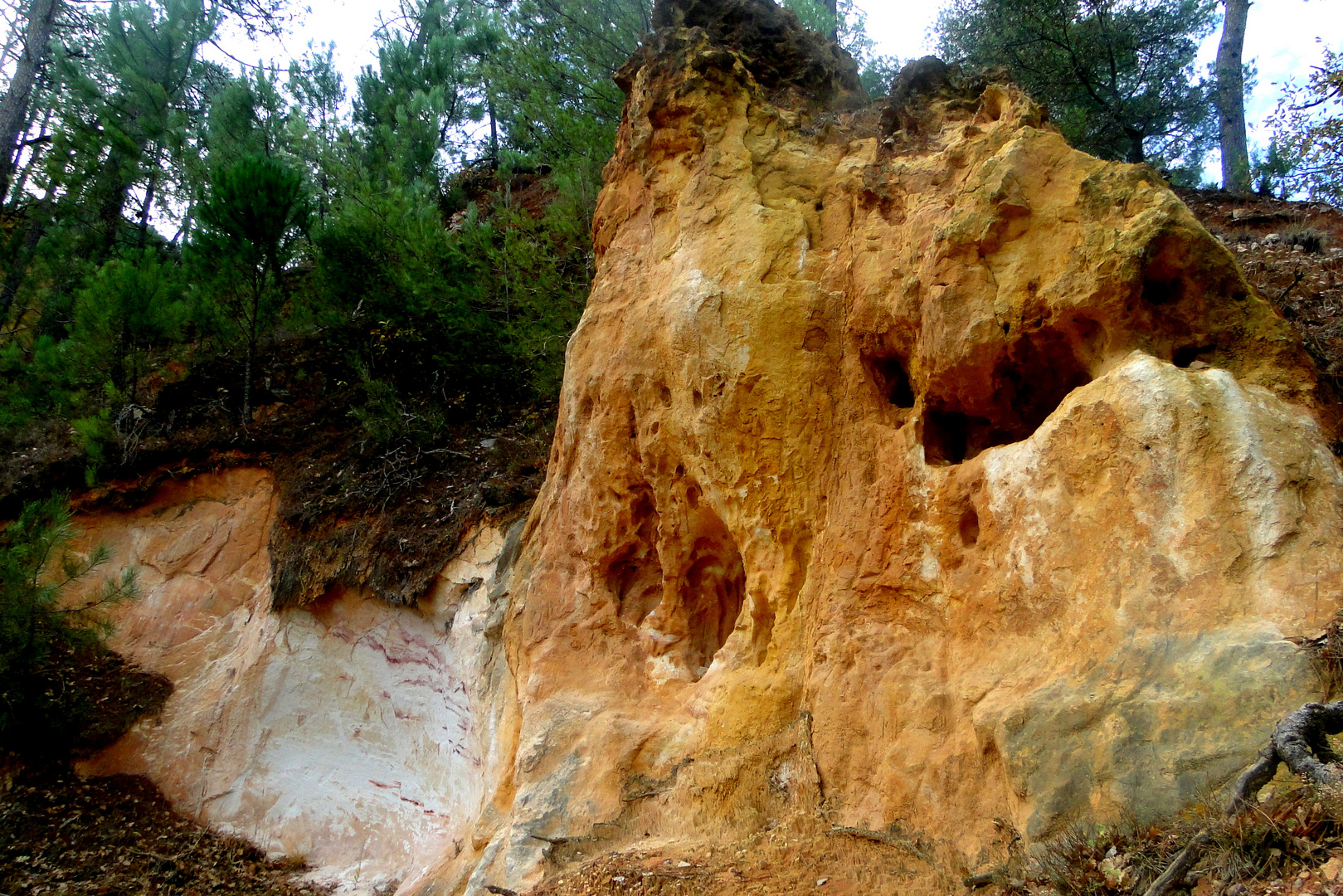 Roussillon