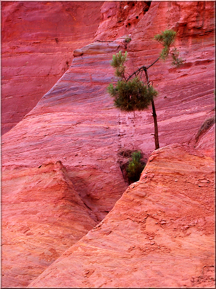 : Roussillon I