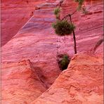 : Roussillon I