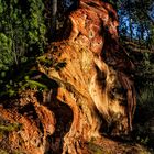 Roussillon - Ockerfelsen