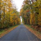 Route automnale dans le sud de la Vienne