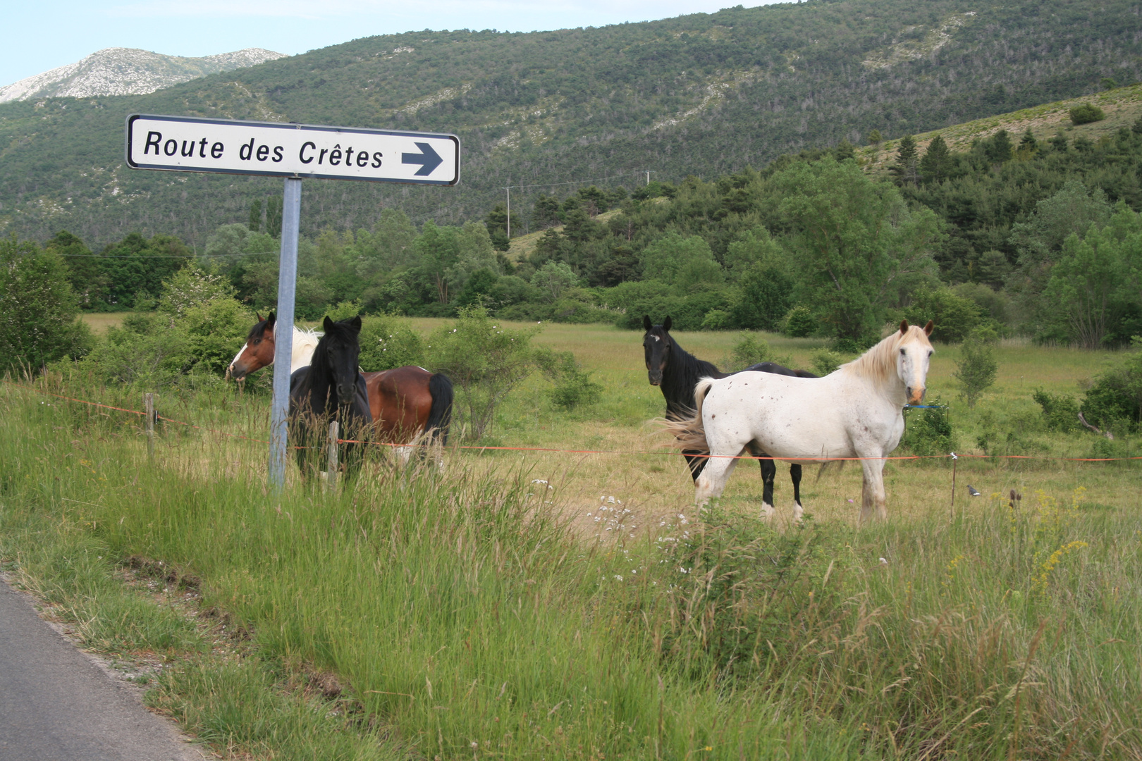 Route de Cretes ( Süd Frankreich )