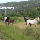 Route de Cretes ( Süd Frankreich )