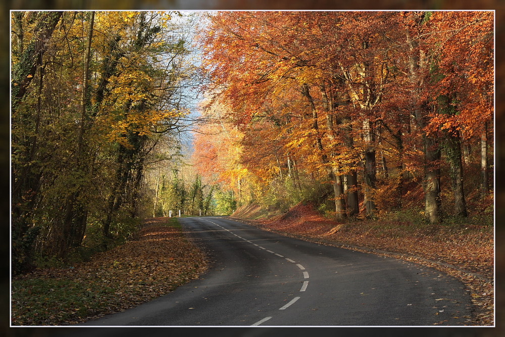 route de la folie