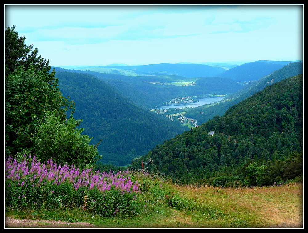 ROUTE DES CRÊTES