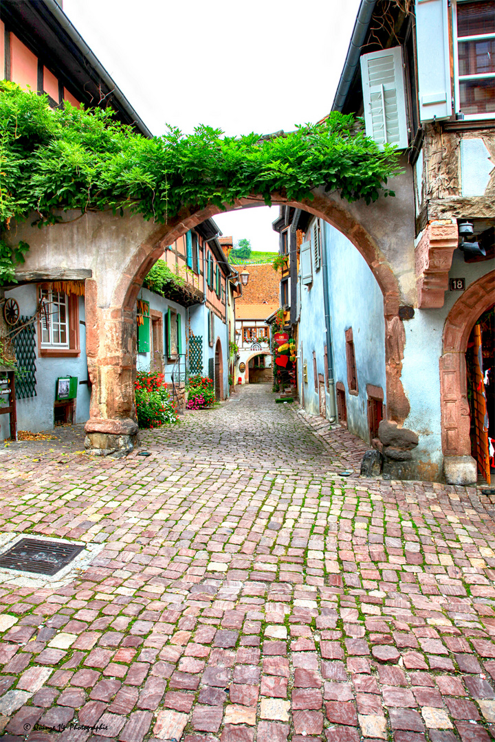 Route des vins à Riquewihr en Alsace.