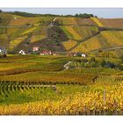 Route des Vins d` Alsace