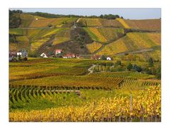 Route des Vins d` Alsace