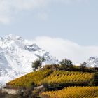 Route des vins de la Vallée d’Aoste 2