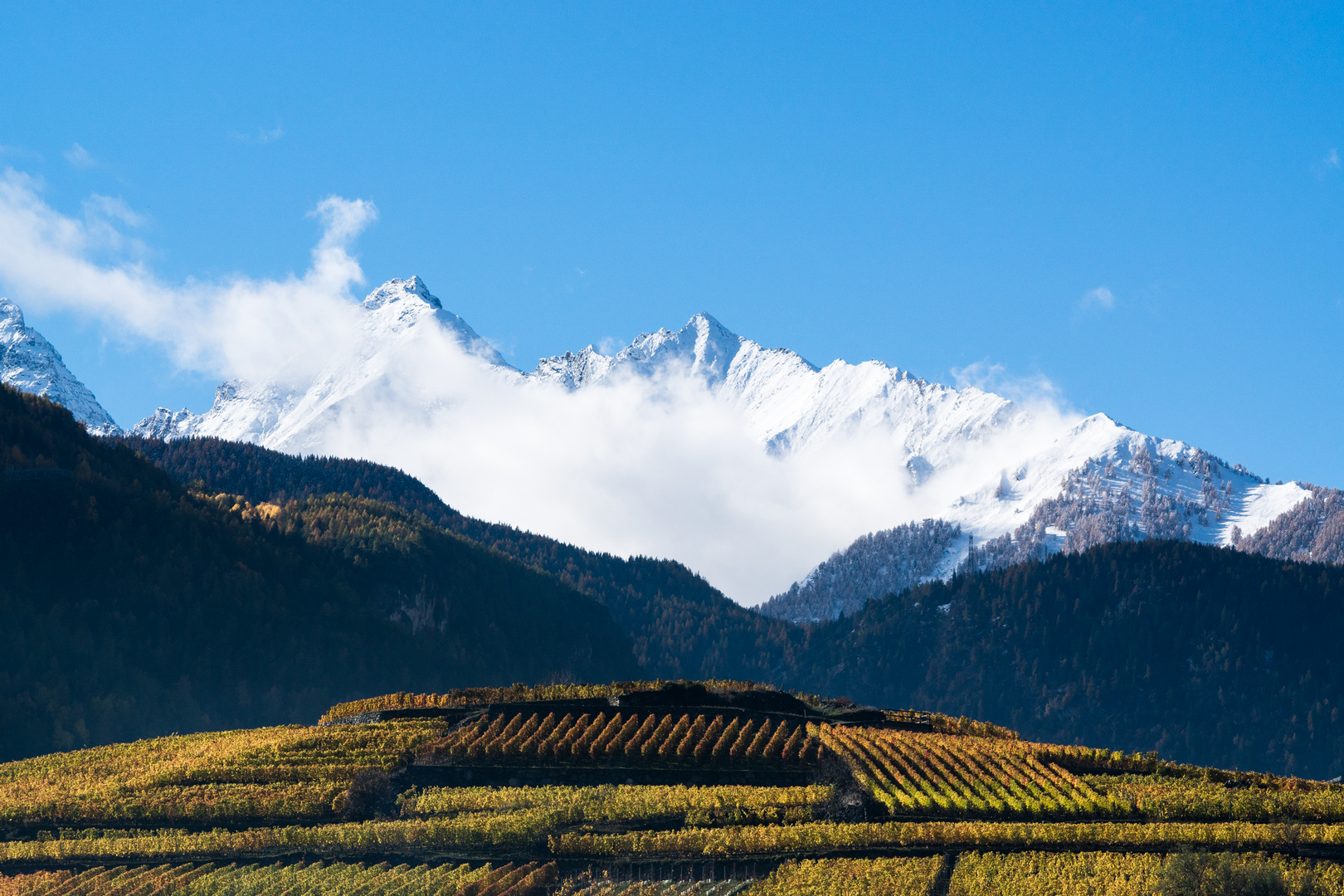 Route des vins de la Vallée d’Aoste 3