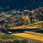  Route des vins de la Vallée d’Aoste 