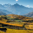 Route des vins du Val d'Aoste