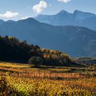 Route des vins du val d'Aoste - Jovençan mt 632