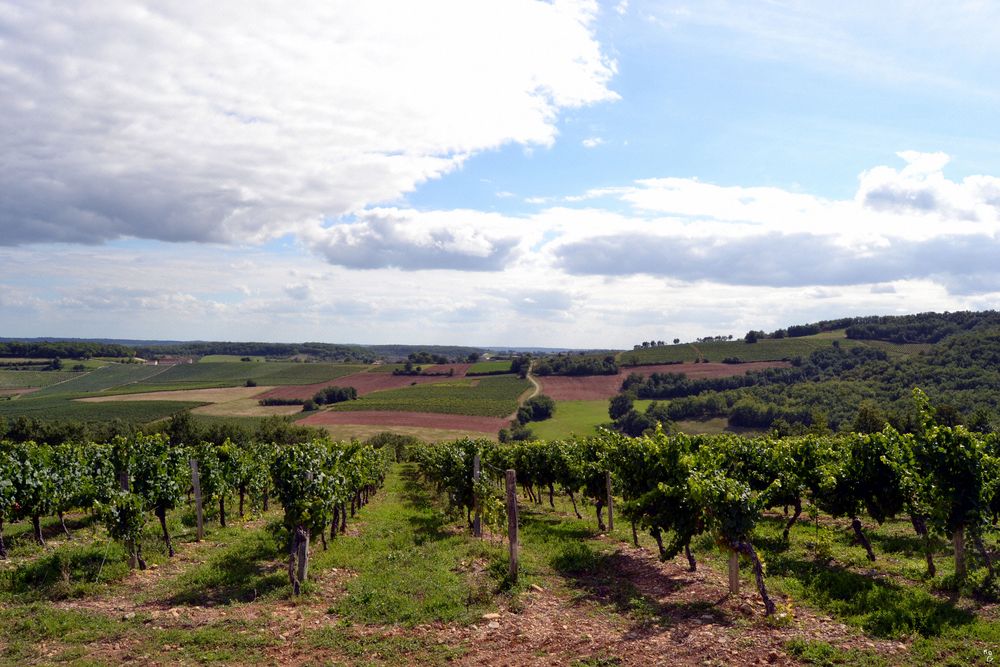 Route du Tarn / Tarn Straße von marie-Ange Gonzales von Marie Ange Gonzales