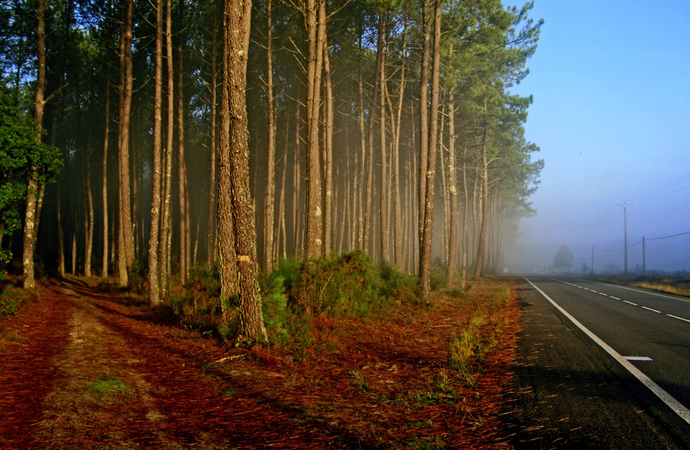 ROUTE OU CHEMIN ?