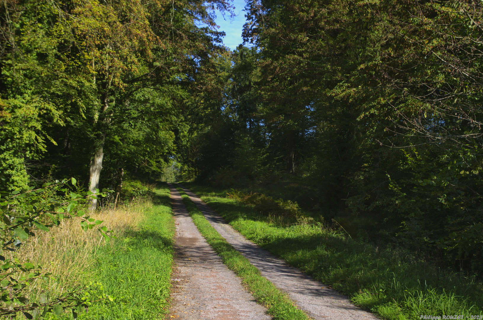 Route Tortue